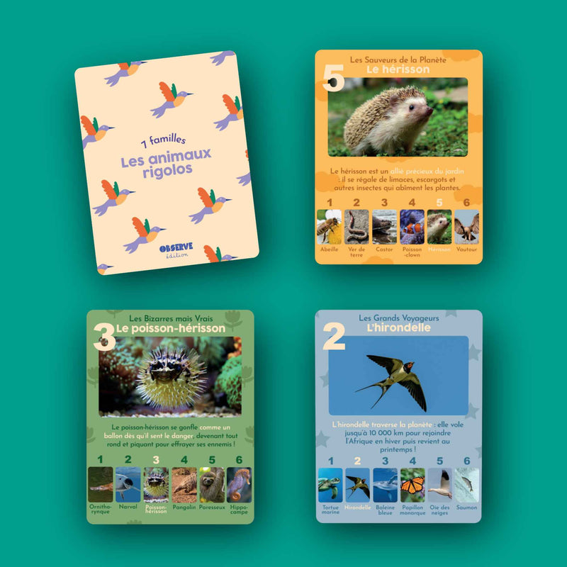 7 familles animaux pack et cartes