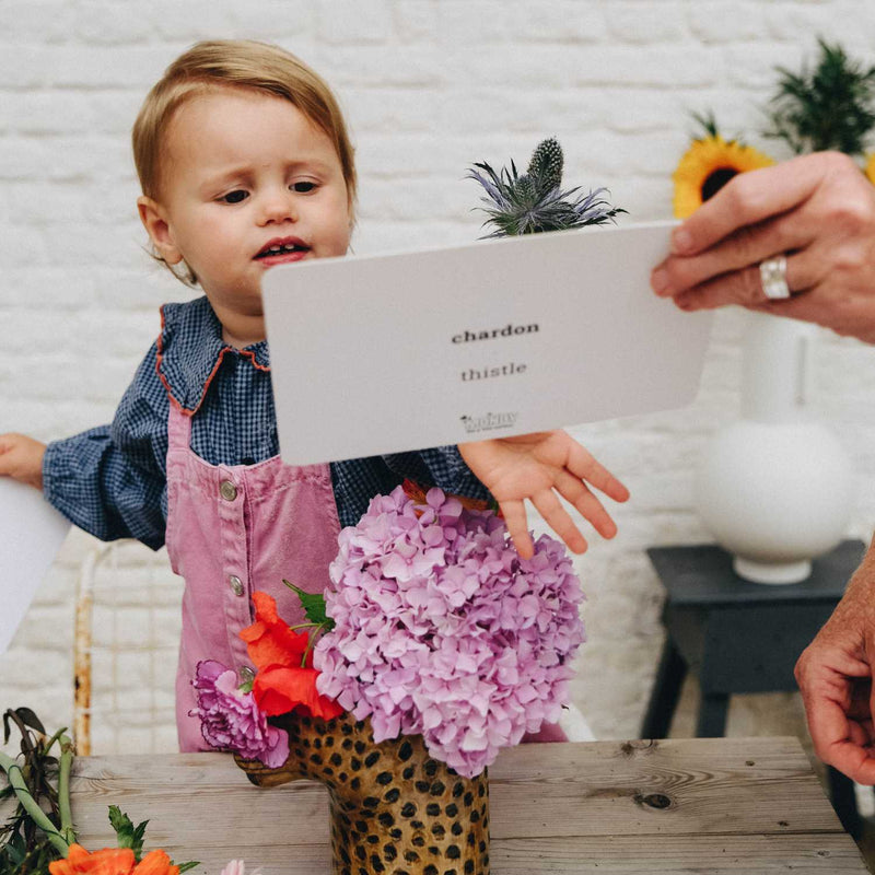 cartes mondy des curieux