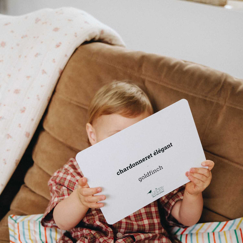 carte oiseau enfant
