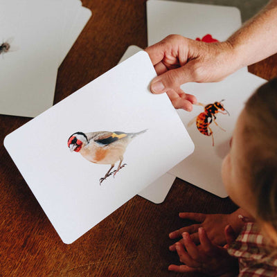 carte chardonneret élégant