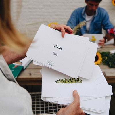 Cartes mondy des curieux verso