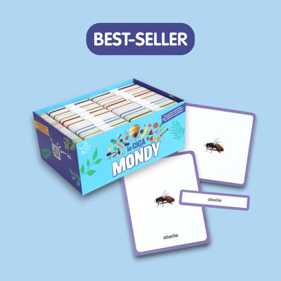 Collection Cartes Mondy