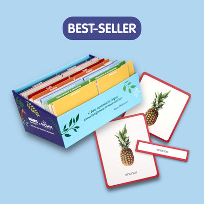 Collection Cartes Mondy