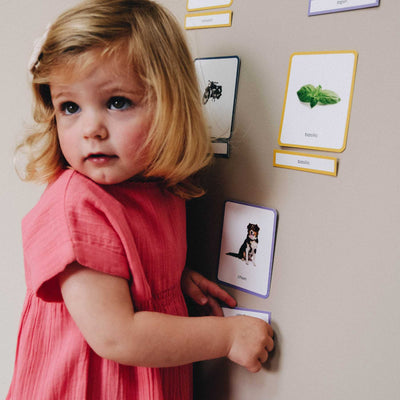 Mini Mondy de la Maison 