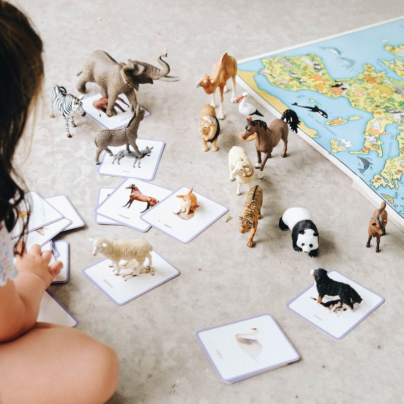 mini mondy des animaux cartes et figurines