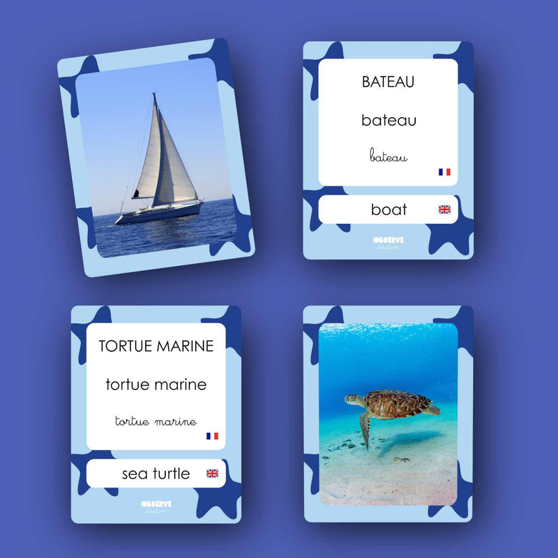 Cartes flash Océans et son pack