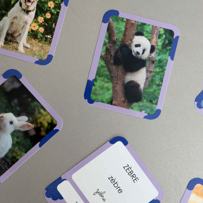 cartes flash animaux