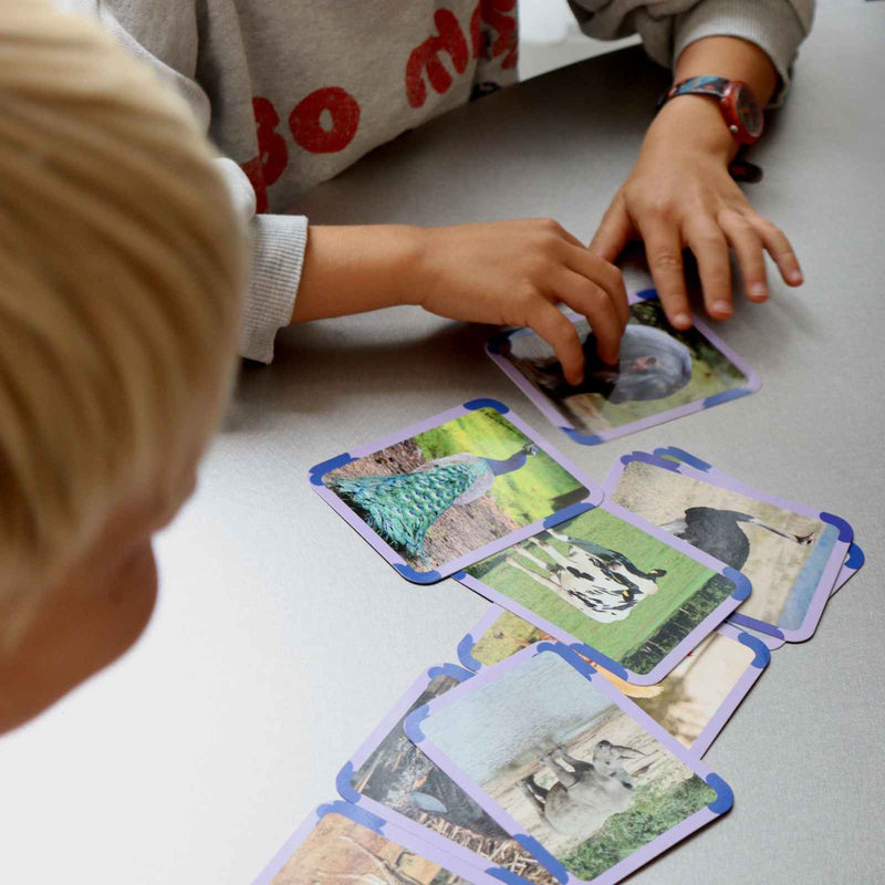 cartes et enfants animaux flahscards