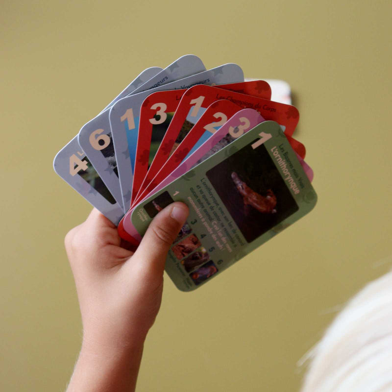 cartes en éventail dans la main