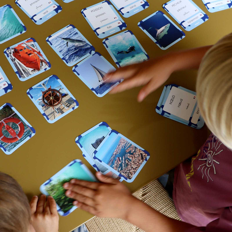 cartes Flash monde marin 