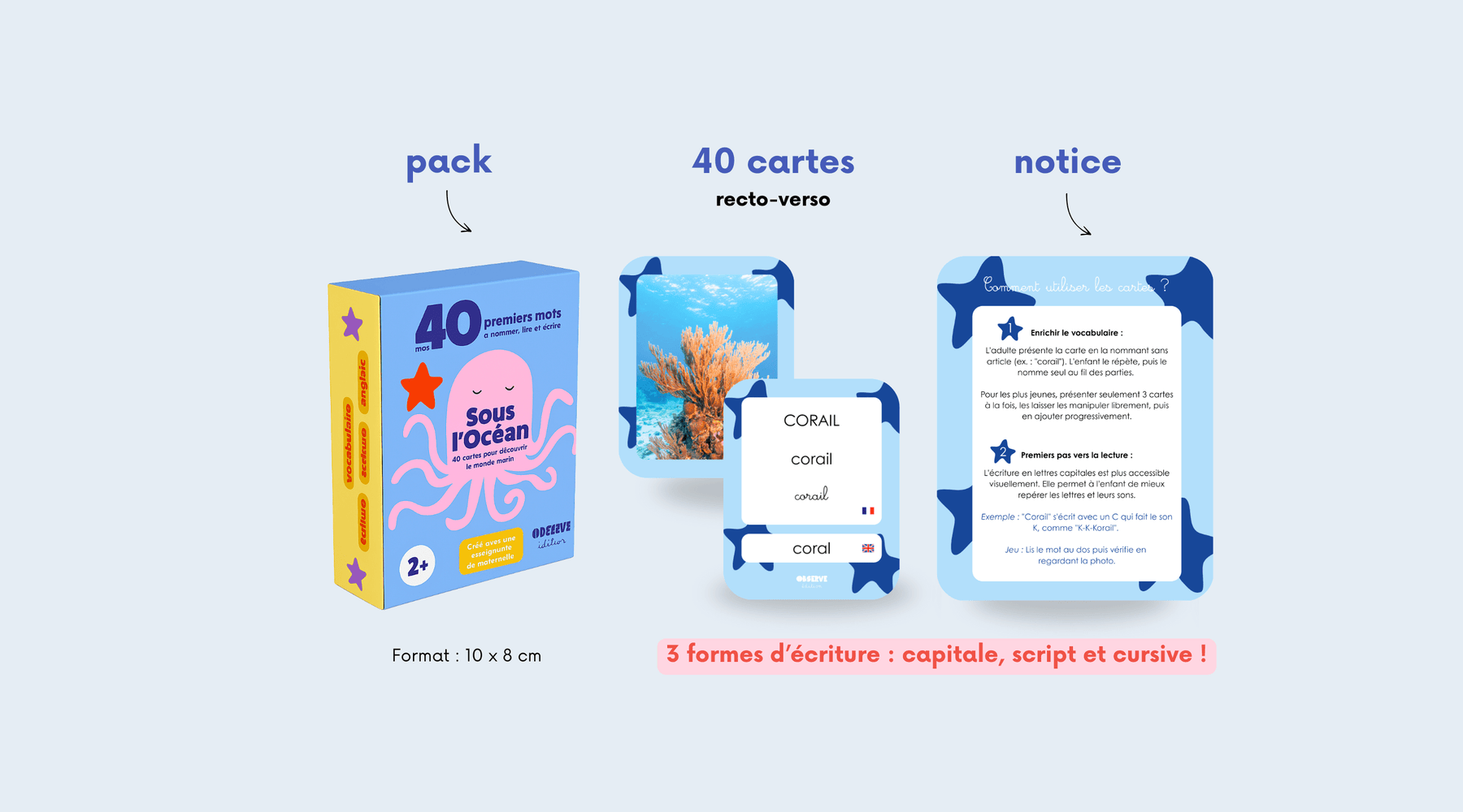 visuels étui et cartes flash océans