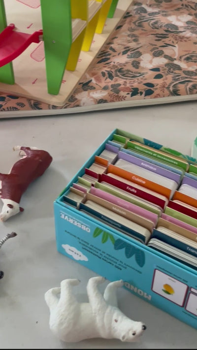 vidéo du giga mondy