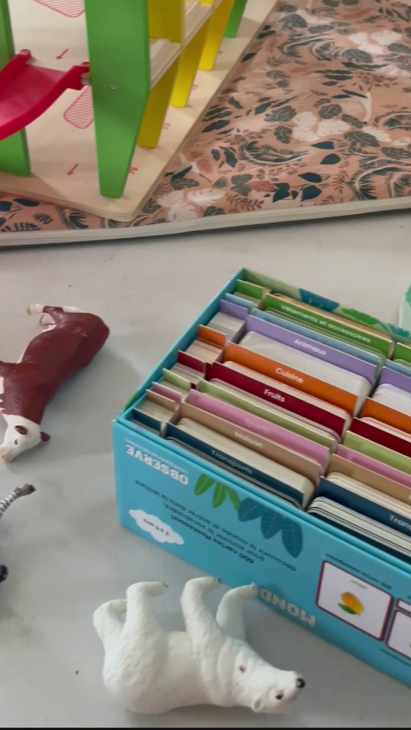 vidéo du giga mondy